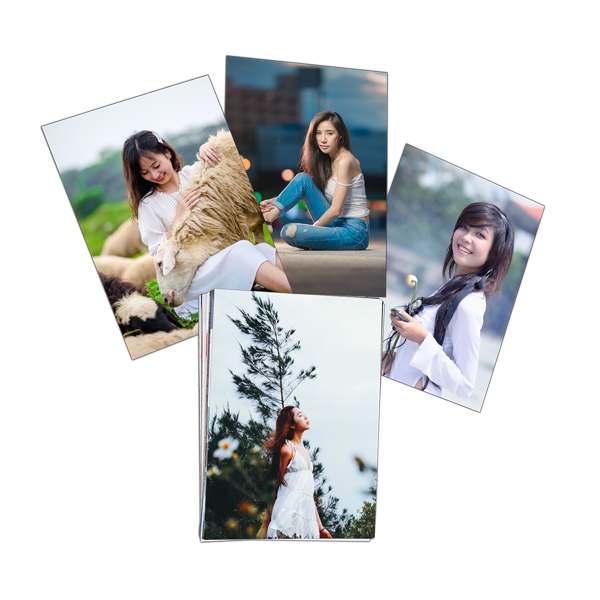 card14x10 48P