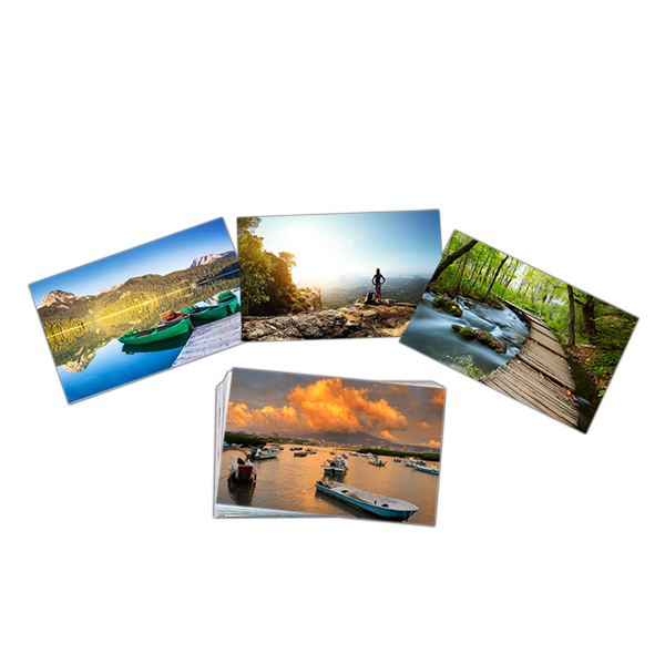 card8x5 84
