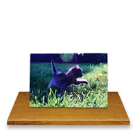 FLAT21x14