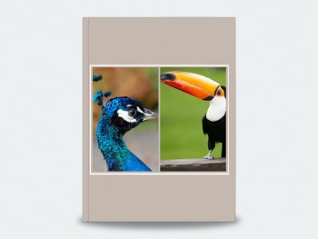 TRAVEL WILD - 時尚平裝本 21x28